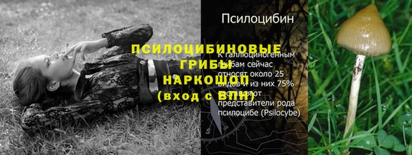 прущая мука Бородино