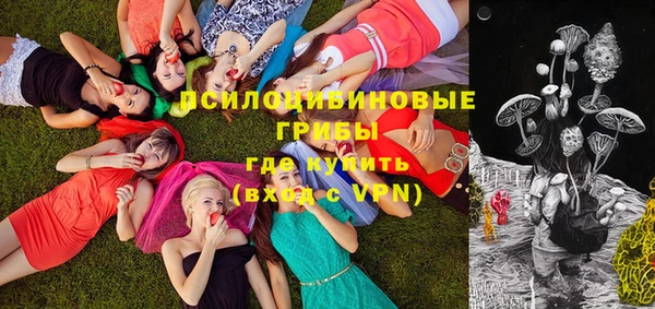 амф Бронницы
