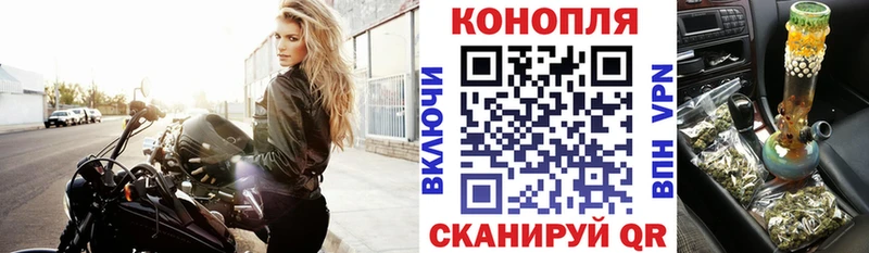 Бошки Шишки VHQ  как найти   Лагань 
